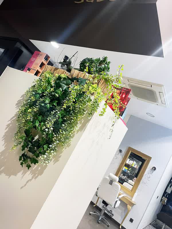 Jardín vertical en la entrada de Sabela Peluquería en Lugo